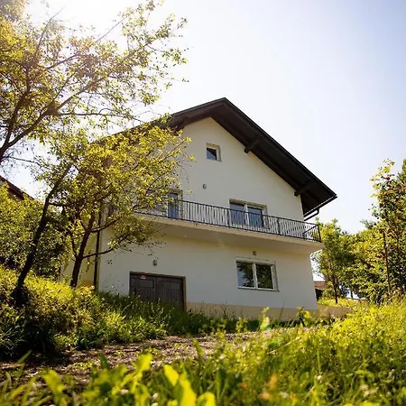 Elegant House In A Beautiful Village * Cerklje ob Krki