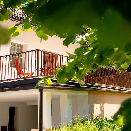 Elegant House In A Beautiful Village Cerklje ob Krki