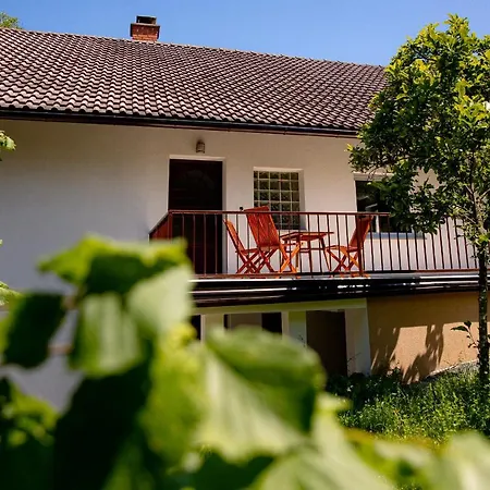 Elegant House In A Beautiful Village Podeželska hiša