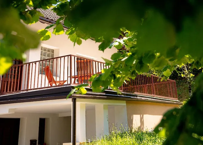 Elegant House In A Beautiful Village Cerklje ob Krki